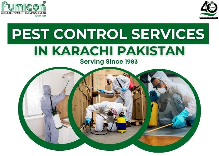 Pest Control Services In Karachi Pakistan